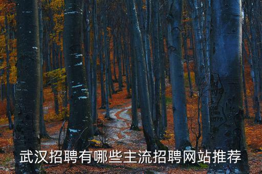 武漢招聘有哪些主流招聘網站推薦