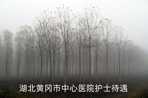 湖北黃岡市中心醫院護士待遇