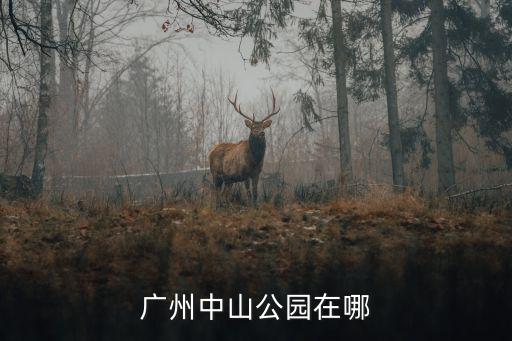 廣州中山公園在哪