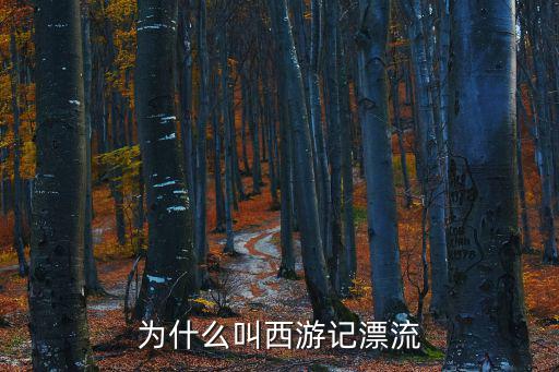為什么叫西游記漂流