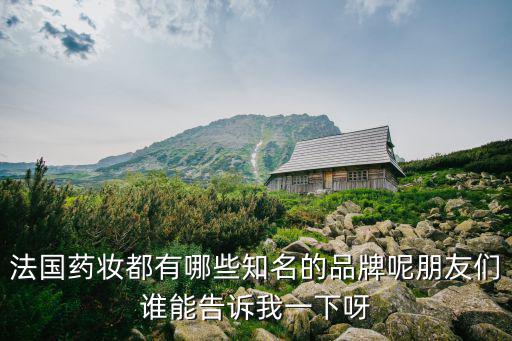 法國藥妝都有哪些知名的品牌呢朋友們誰能告訴我一下呀