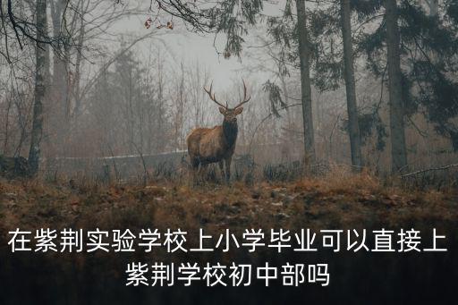 在紫荊實(shí)驗(yàn)學(xué)校上小學(xué)畢業(yè)可以直接上紫荊學(xué)校初中部嗎