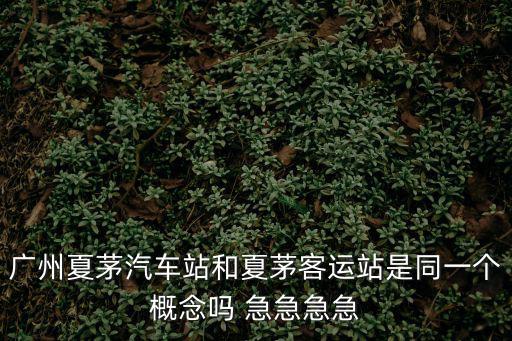 廣州夏茅汽車站和夏茅客運(yùn)站是同一個(gè)概念嗎 急急急急