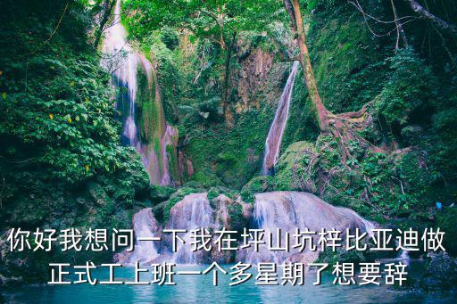 你好我想問一下我在坪山坑梓比亞迪做正式工上班一個多星期了想要辭