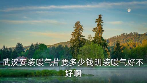 武漢安裝暖氣片要多少錢明裝暖氣好不好啊