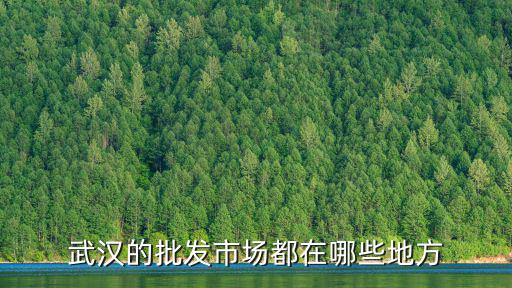 武漢的批發市場都在哪些地方