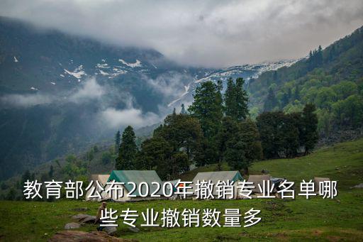 教育部公布2020年撤銷專業(yè)名單哪些專業(yè)撤銷數(shù)量多