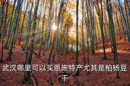 恩施土特產，聽說湖北恩施的土家族有不少特產誰了解的比較詳細的幫我介紹下