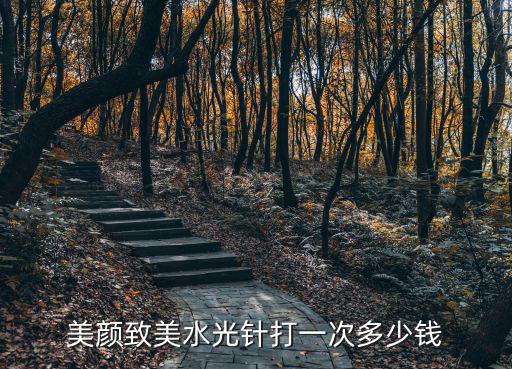 美顏致美水光針打一次多少錢(qián)