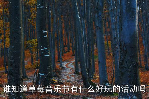 誰知道草莓音樂節有什么好玩的活動嗎