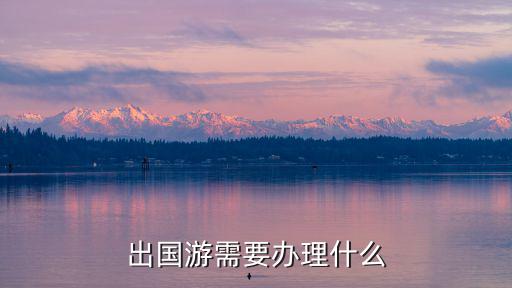 出國游需要辦理什么