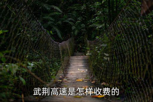 武荊高速是怎樣收費(fèi)的
