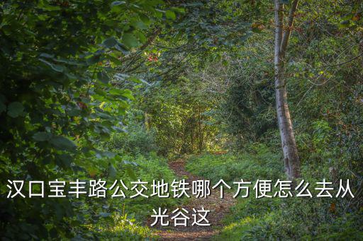 漢口寶豐路公交地鐵哪個方便怎么去從光谷這