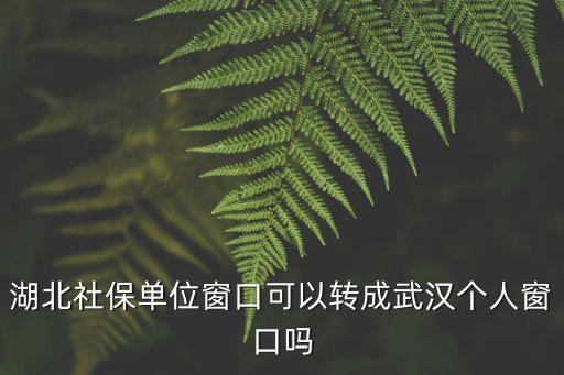 湖北社保單位窗口可以轉成武漢個人窗口嗎