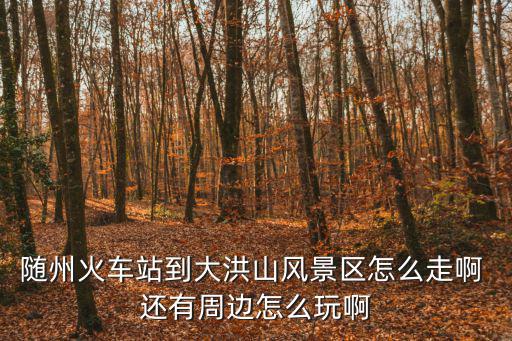 隨州火車站到大洪山風景區怎么走啊 還有周邊怎么玩啊