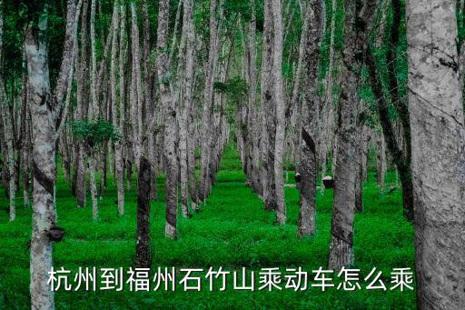杭州到福州，杭州到福州石竹山乘動(dòng)車怎么乘