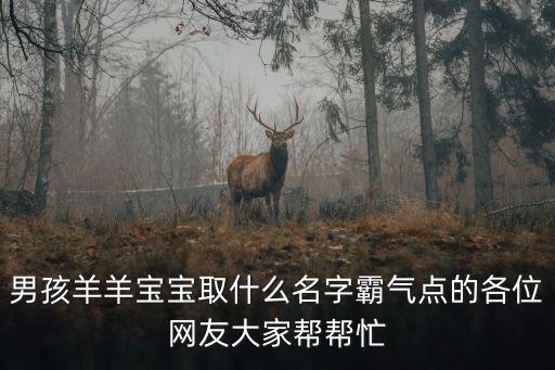 男孩羊羊寶寶取什么名字霸氣點的各位網友大家幫幫忙