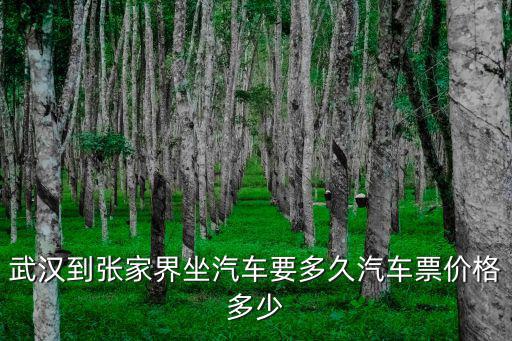 武漢到張家界坐汽車要多久汽車票價格多少