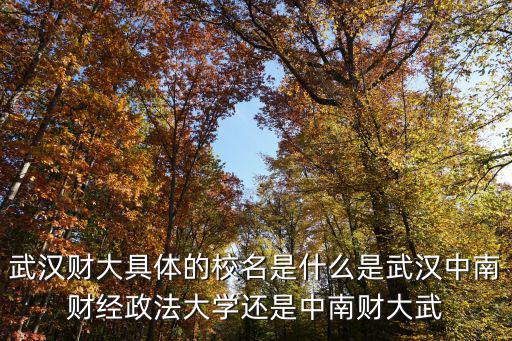 武漢財(cái)大具體的校名是什么是武漢中南財(cái)經(jīng)政法大學(xué)還是中南財(cái)大武