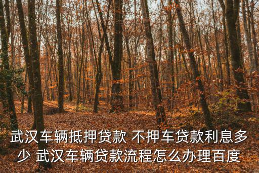武漢車輛抵押貸款 不押車貸款利息多少 武漢車輛貸款流程怎么辦理百度