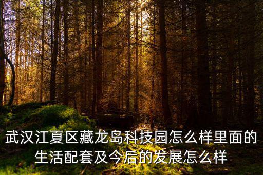 武漢藏龍島，藏龍島在武漢哪個區