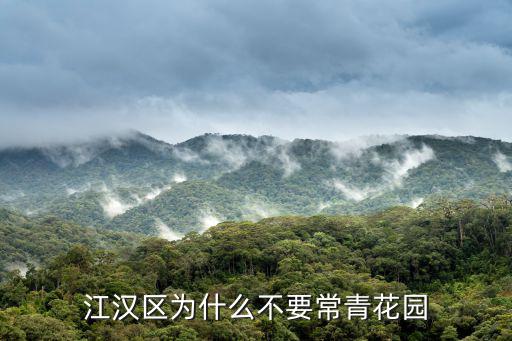 江漢區(qū)為什么不要常青花園