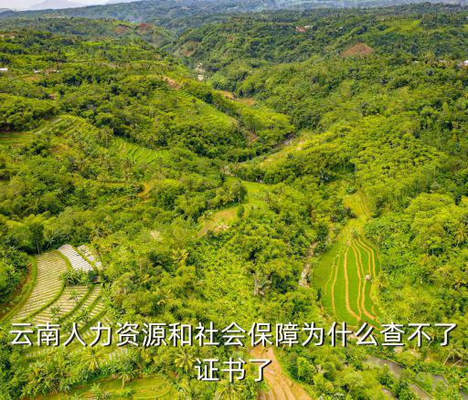 云南人力資源和社會保障為什么查不了證書了