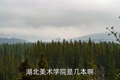 湖北美術學院是幾本啊