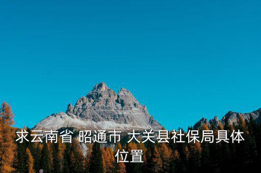求云南省 昭通市 大關(guān)縣社保局具體位置