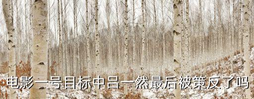 電影一號(hào)目標(biāo)中呂一然最后被策反了嗎