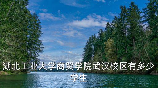 湖北工業(yè)大學(xué)商貿(mào)學(xué)院武漢校區(qū)有多少學(xué)生