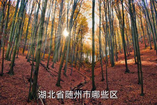 湖北省隨州市哪些區(qū)