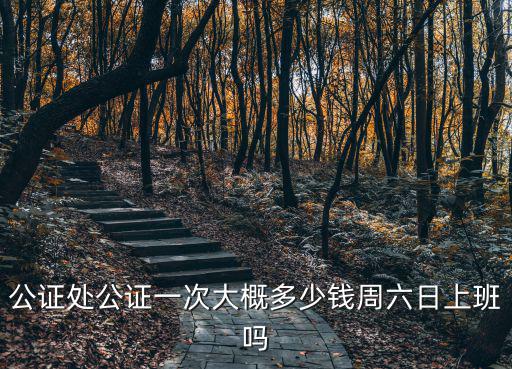 公證處公證一次大概多少錢周六日上班嗎