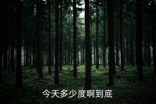 今天多少度啊到底