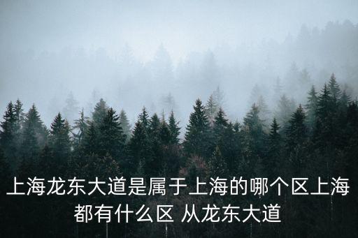 東大道，上海龍東大道是屬于上海的哪個區上海都有什么區 從龍東大道
