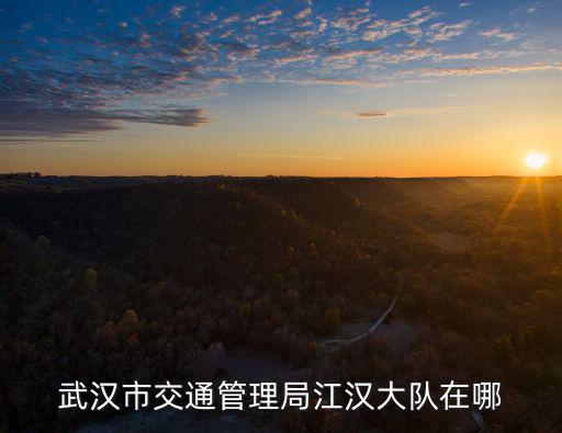 武漢市交通管理局江漢大隊(duì)在哪