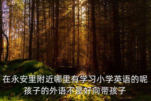 在永安里附近哪里有學習小學英語的呢孩子的外語不是好向帶孩子