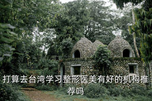 打算去臺(tái)灣學(xué)習(xí)整形醫(yī)美有好的機(jī)構(gòu)推薦嗎