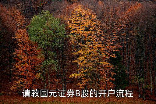 請教國元證券B股的開戶流程