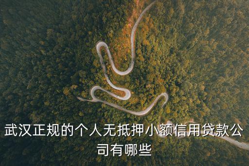 武漢正規的個人無抵押小額信用貸款公司有哪些