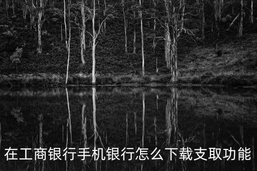 支取，在工商銀行手機銀行怎么下載支取功能