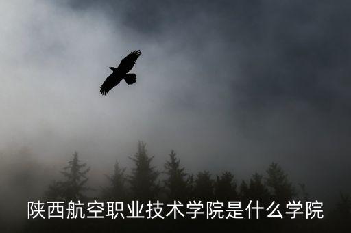 陜西航空職業(yè)技術(shù)學(xué)院是什么學(xué)院