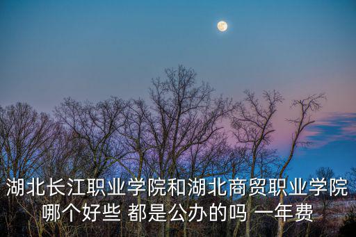 湖北長(zhǎng)江職業(yè)學(xué)院和湖北商貿(mào)職業(yè)學(xué)院哪個(gè)好些 都是公辦的嗎 一年費(fèi)
