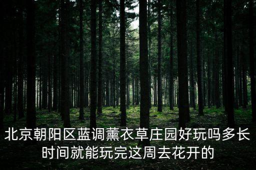 北京朝陽區藍調薰衣草莊園好玩嗎多長時間就能玩完這周去花開的