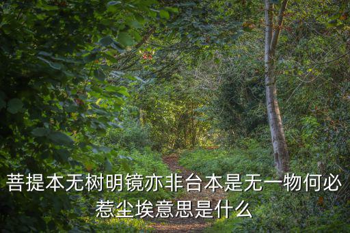 本無，菩提本無樹明鏡亦非臺本是無一物何必惹塵埃意思是什么