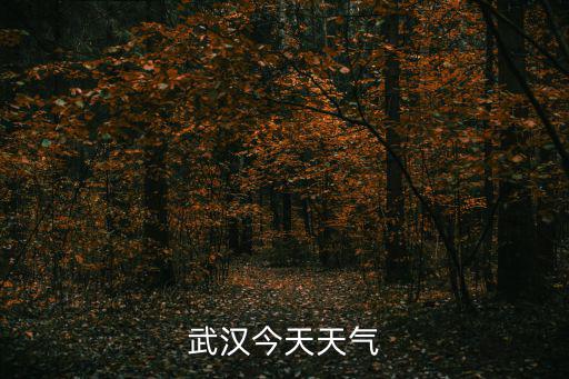武漢今天天氣