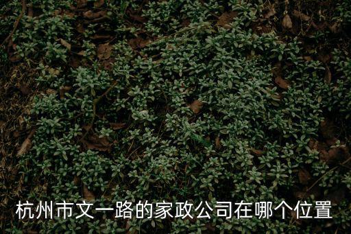 杭州市文一路的家政公司在哪個位置