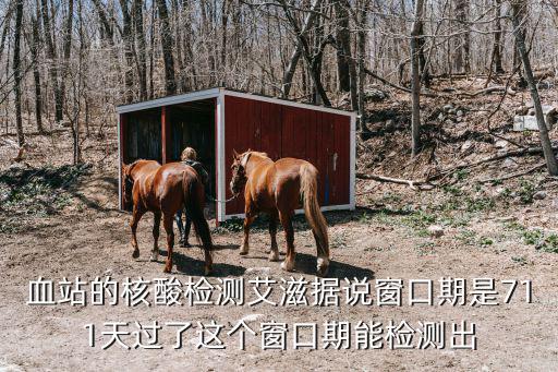 血站的核酸檢測艾滋據說窗口期是711天過了這個窗口期能檢測出