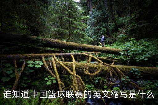 誰知道中國籃球聯(lián)賽的英文縮寫是什么