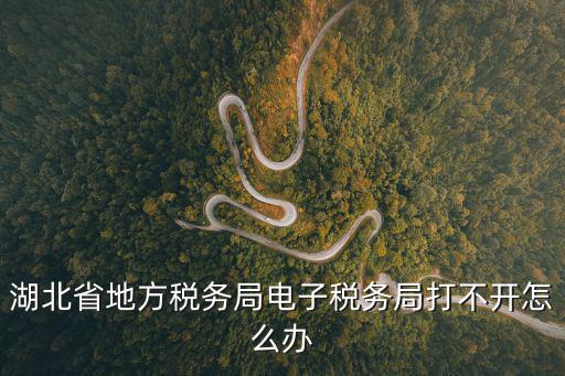 湖北省地方稅務局電子稅務局打不開怎么辦